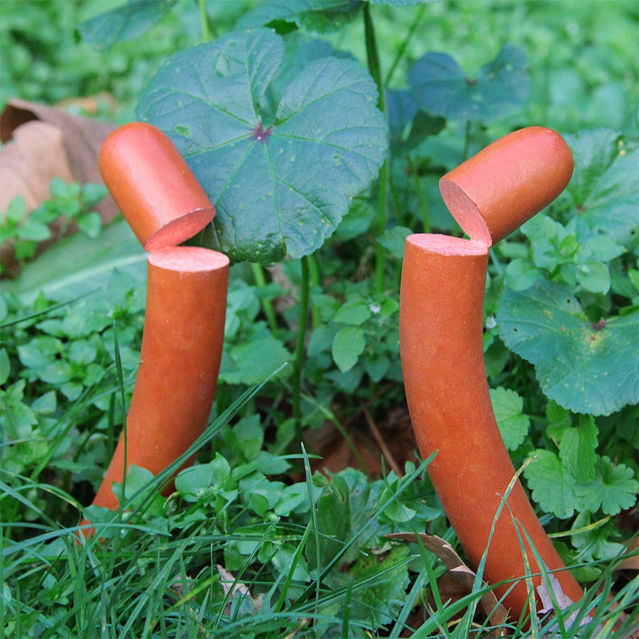  Michael Croft | Bigger and Better in the wild | XXX L DOG | Model | Hotdog | Sausage | artist |