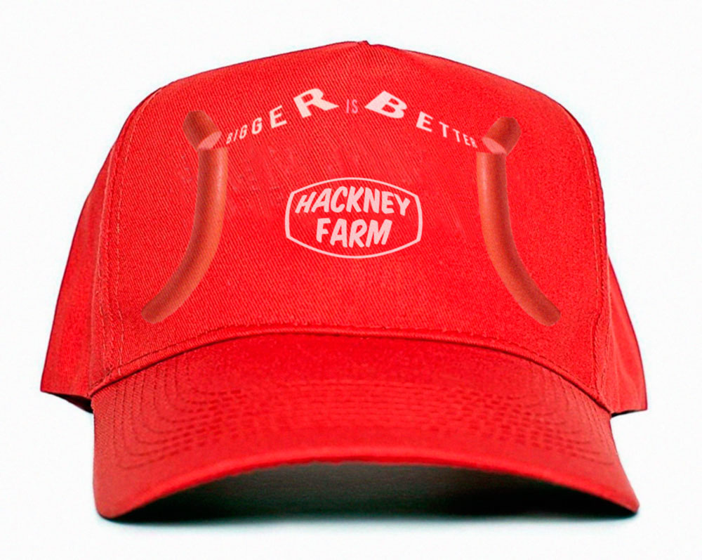 Hackney Farm | XXXL Dog | Bigger is Better | Hotdog | Sausage | Michael Croft | Artist