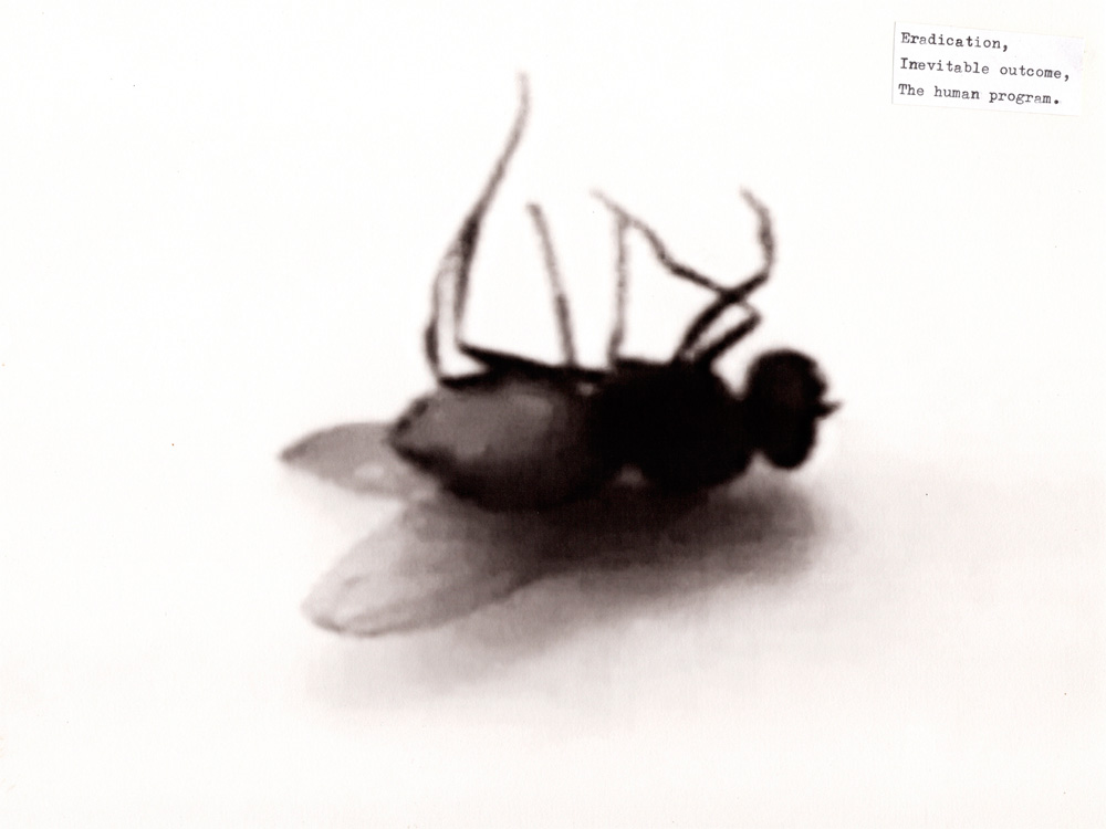 Eradication, Inevitable outcome, The human progarm. | Haiku for the Fallen | Requiem for the Fallen in G Minor | video | isonerv | Michael Croft