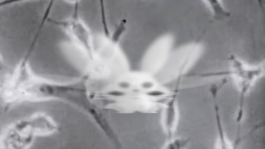 ISONERV  | ISONERV Better Now | uRabbit | ISONERV 